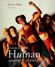 Tapa de Understanding human anatomy & physiology