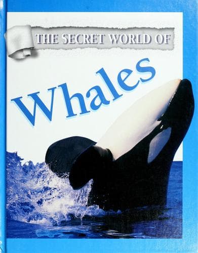 Tapa de Whales