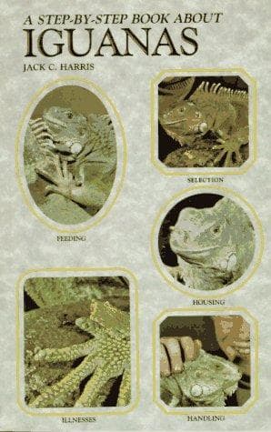 Tapa de A step-by-step book about iguanas