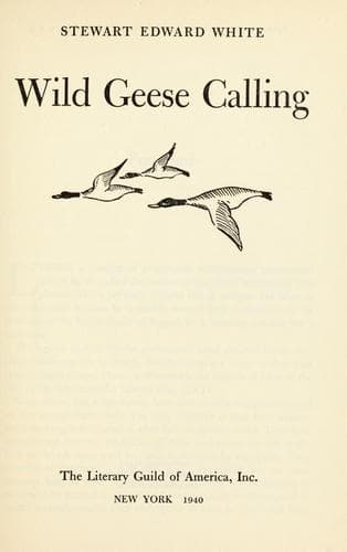 Tapa de Wild geese calling