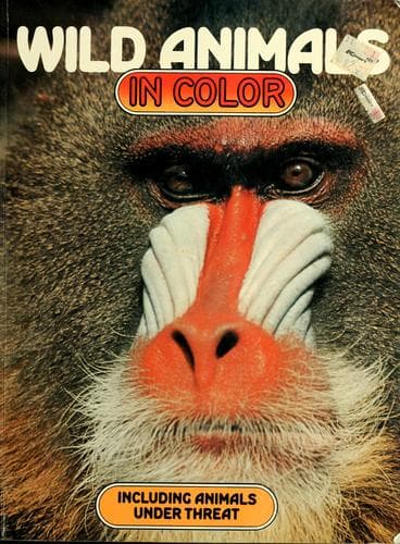 Tapa de Wild animals