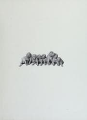 Tapa de William Wegman's Puppies