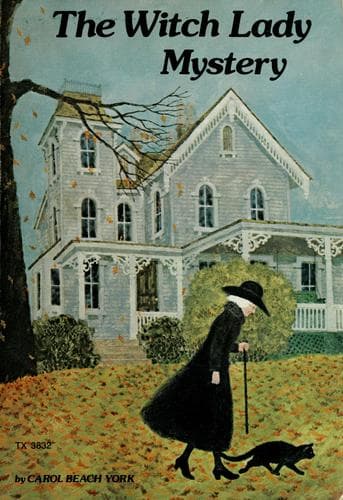 Tapa de The witch lady mystery