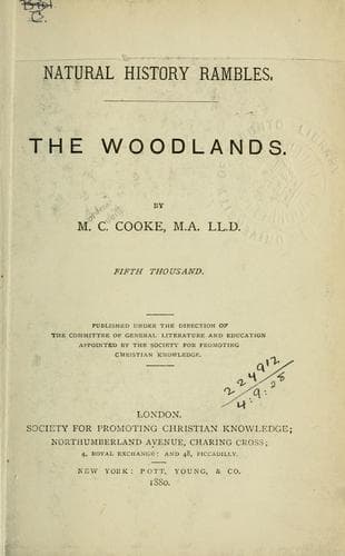 Tapa de The woodlands