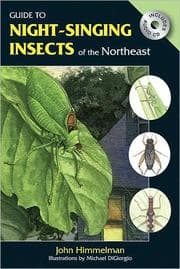 Tapa de Night-singing insects of the Northeast