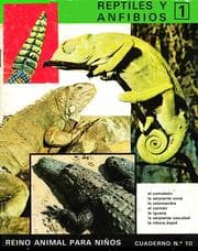 Tapa de Reino Animal para Niños