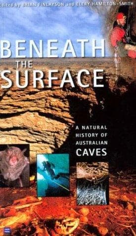 Tapa de Beneath the Surface
