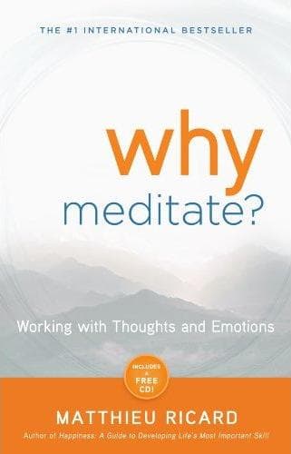 Tapa de Why meditate?