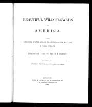 Tapa de Beautiful wild flowers of America, from original water-color drawings after nature