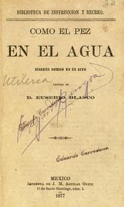 Tapa de Como el pez en el agua