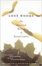 Tapa de Lost Woods