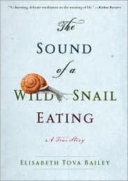 Tapa de The Sound of a Wild Snail Eating