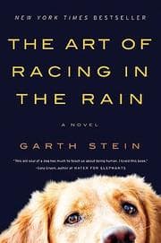 Tapa de The Art of Racing in the Rain