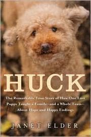 Tapa de Huck