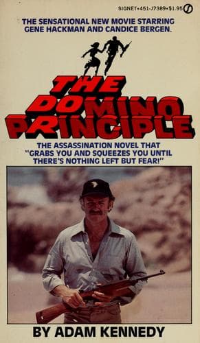 Tapa de The domino principle