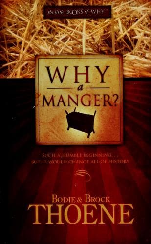 Tapa de Why a manager?