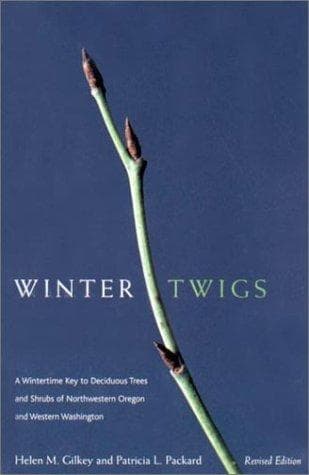 Tapa de Winter twigs