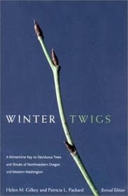 Tapa de Winter twigs