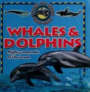 Tapa de Things you should know about whales & dolphins