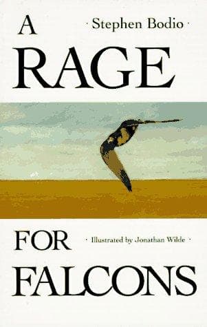 Tapa de A rage for falcons