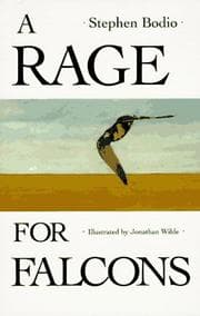 Tapa de A rage for falcons