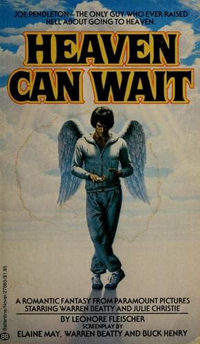 Tapa de Heaven can wait