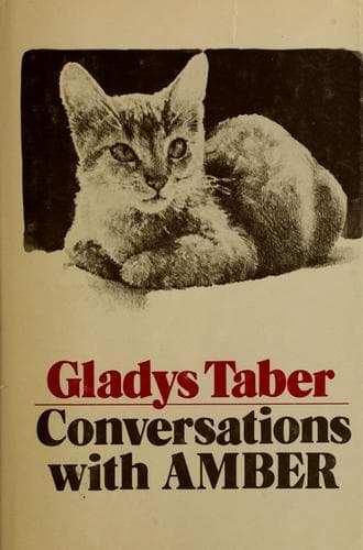 Tapa de Conversations with Amber