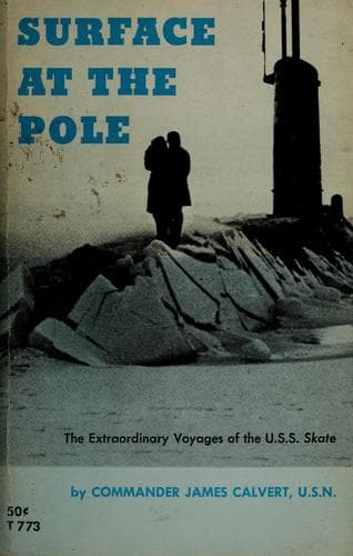 Tapa de Surface at the Pole