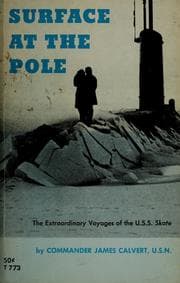 Tapa de Surface at the Pole