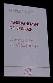 Tapa de L' enseignement de Spinoza