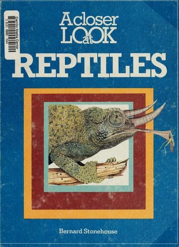Tapa de A closer look at reptiles