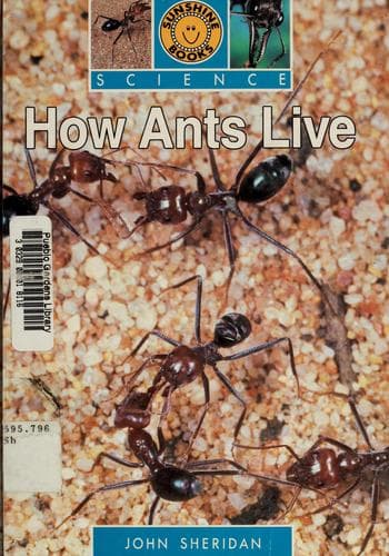 Tapa de How ants live