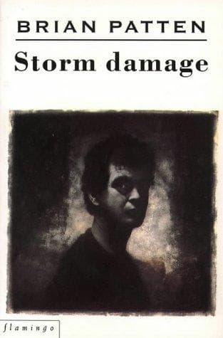 Tapa de Storm Damage