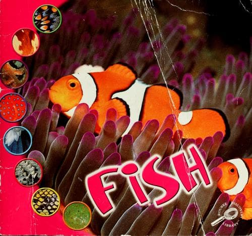Tapa de Fish