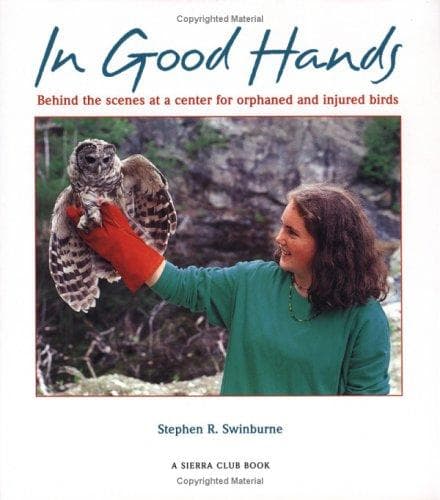 Tapa de In good hands