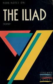 Tapa de Homer, The Iliad