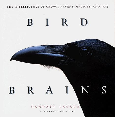 Tapa de Bird Brains