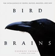 Tapa de Bird Brains