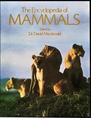 Tapa de The Encyclopedia of mammals