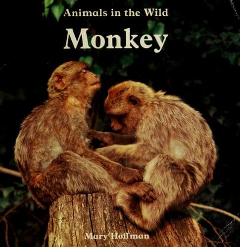 Tapa de Animals in the wild--monkey