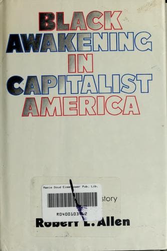 Tapa de Black awakening in capitalist America