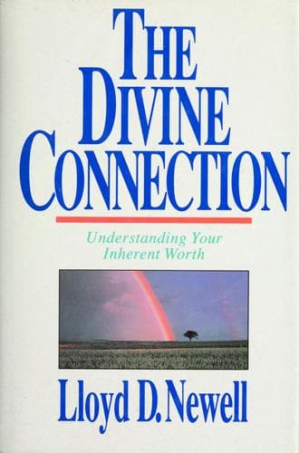 Tapa de The  divine connection