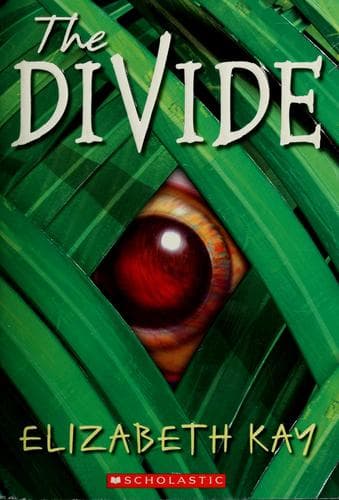 Tapa de Divide (The Divide)