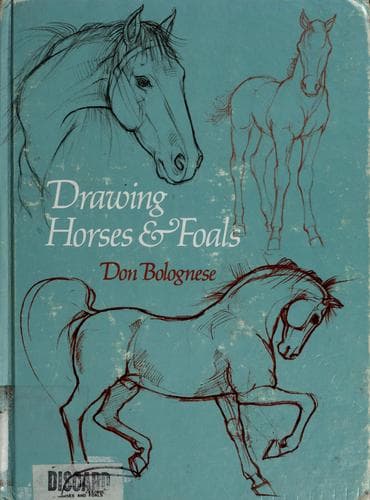 Tapa de Drawing horses and foals