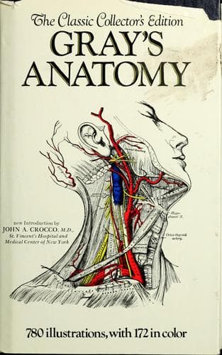 Tapa de Gray's anatomy