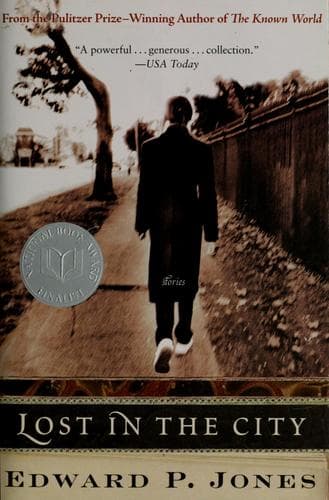 Tapa de Lost in the city