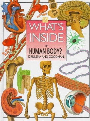 Tapa de What's inside the human body?