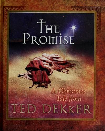 Tapa de The Promise
