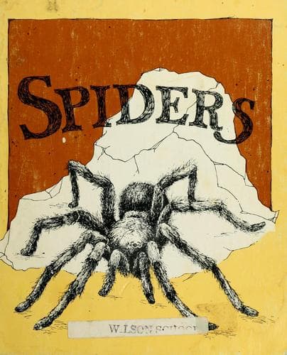 Tapa de Spiders