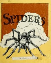 Tapa de Spiders
